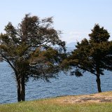 San Juan Island (May 2007)